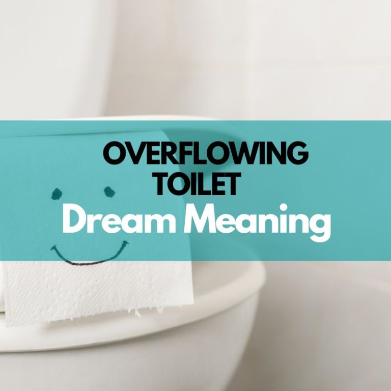 Overflowing Toilet Dream Meaning & Symbolism