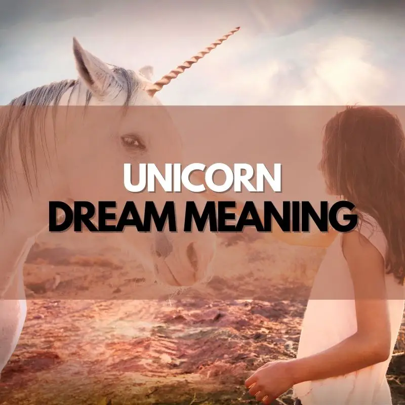 unicorn dream meaning