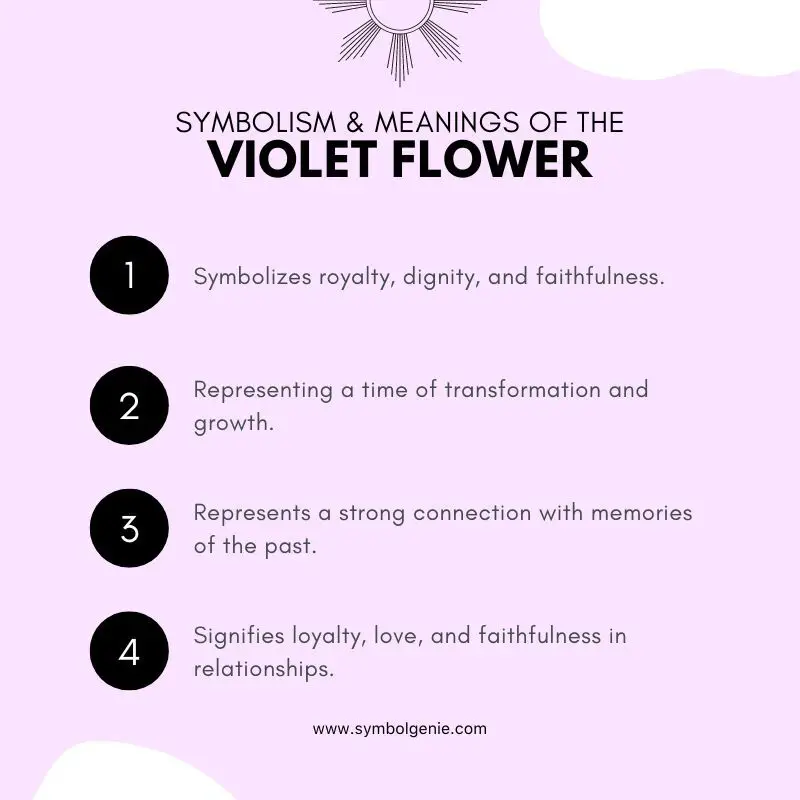 violet flower symbolism
