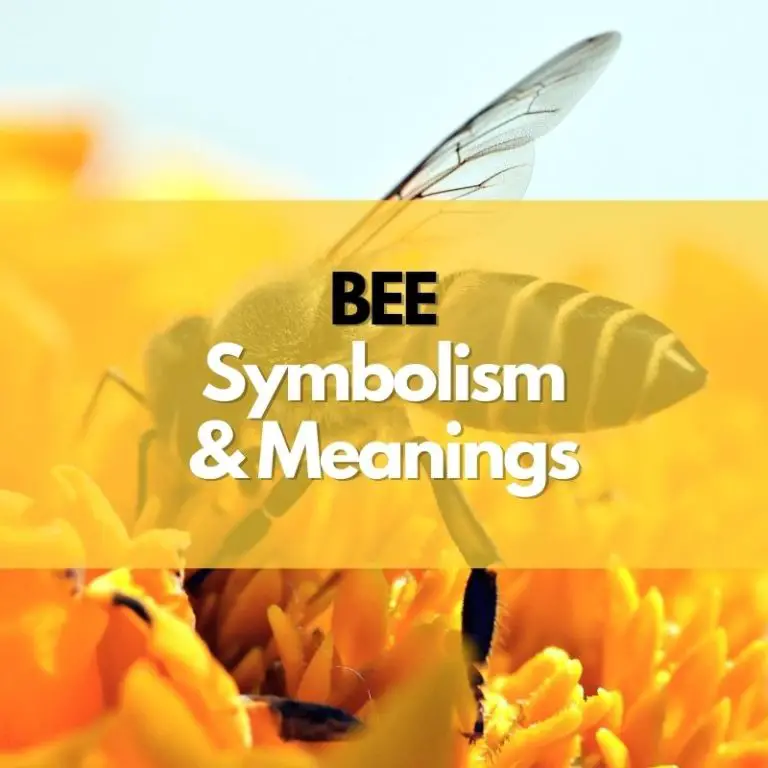 What Does a Bee Symbolize? (in-Depth Guide)