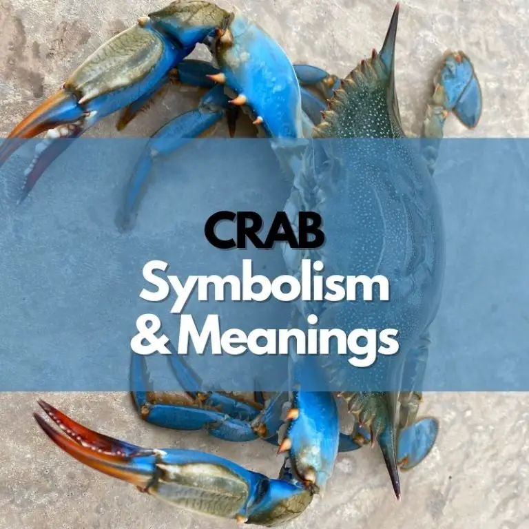 Crab: Symbolism, Meanings, and History