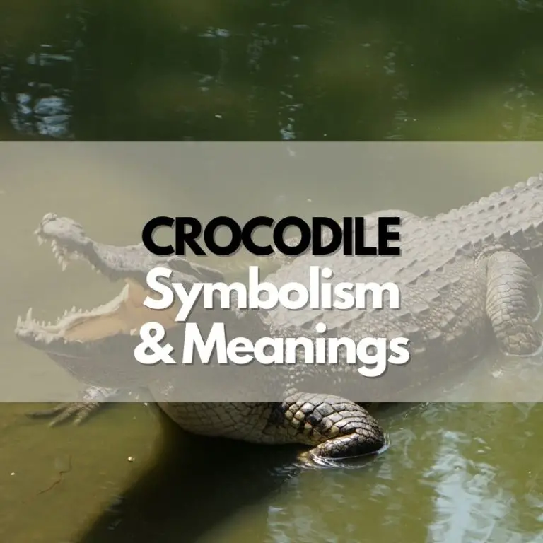 Crocodile: Symbolism, Meanings, and History
