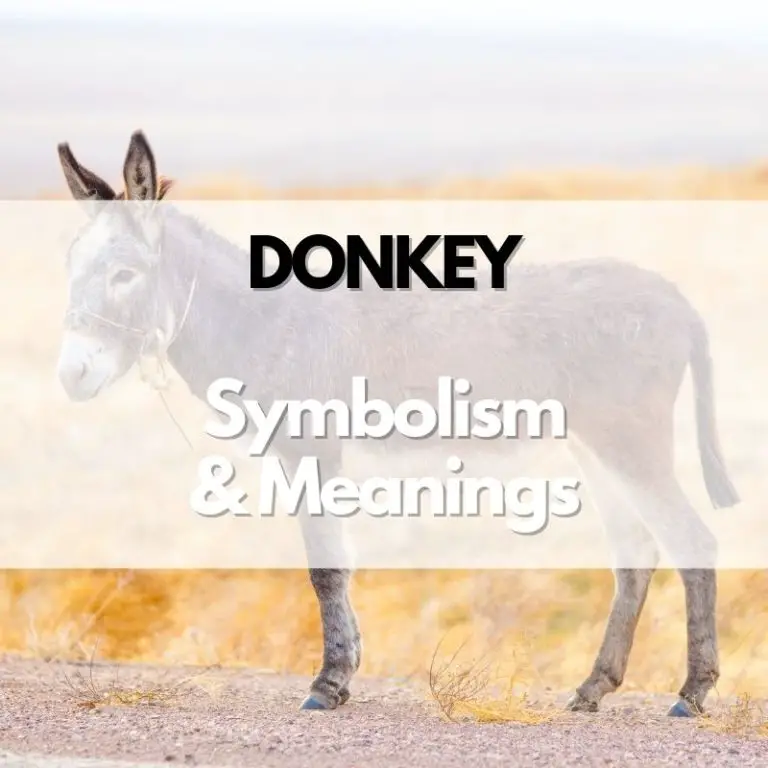 Donkey: Symbolism, Meanings, and History