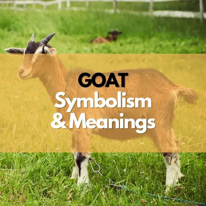 goat symbolism meaning and history