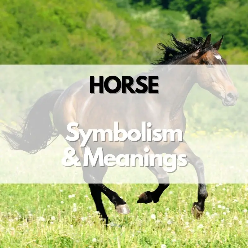 horse symbolism meaning and history