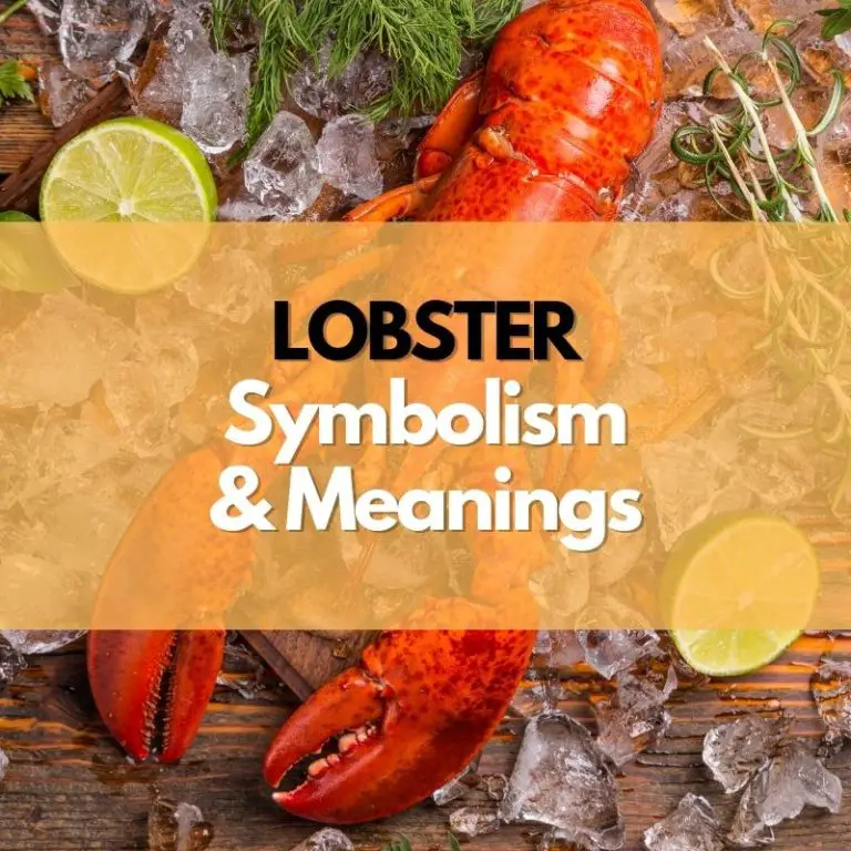 Lobster Symbolism, Meanings, and History Symbol Genie