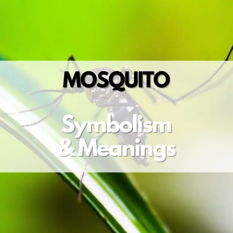Mosquito Symbolism, Meanings, and History Symbol Genie