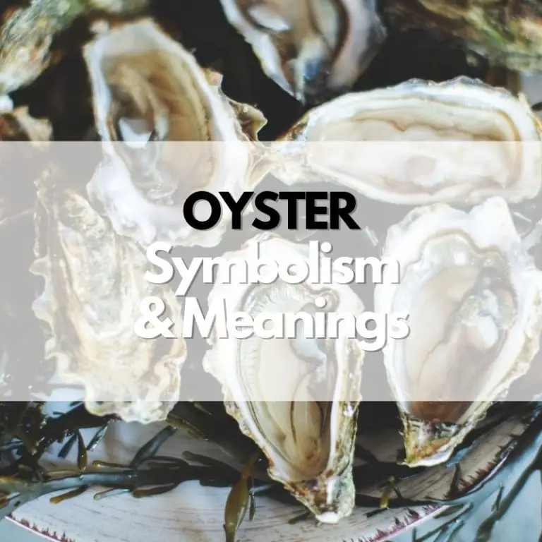 Oyster Symbolism, Meanings, and History Symbol Genie