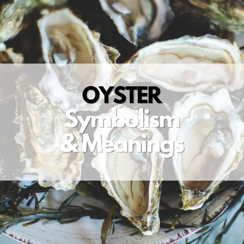 oyster symbolism meaning and history