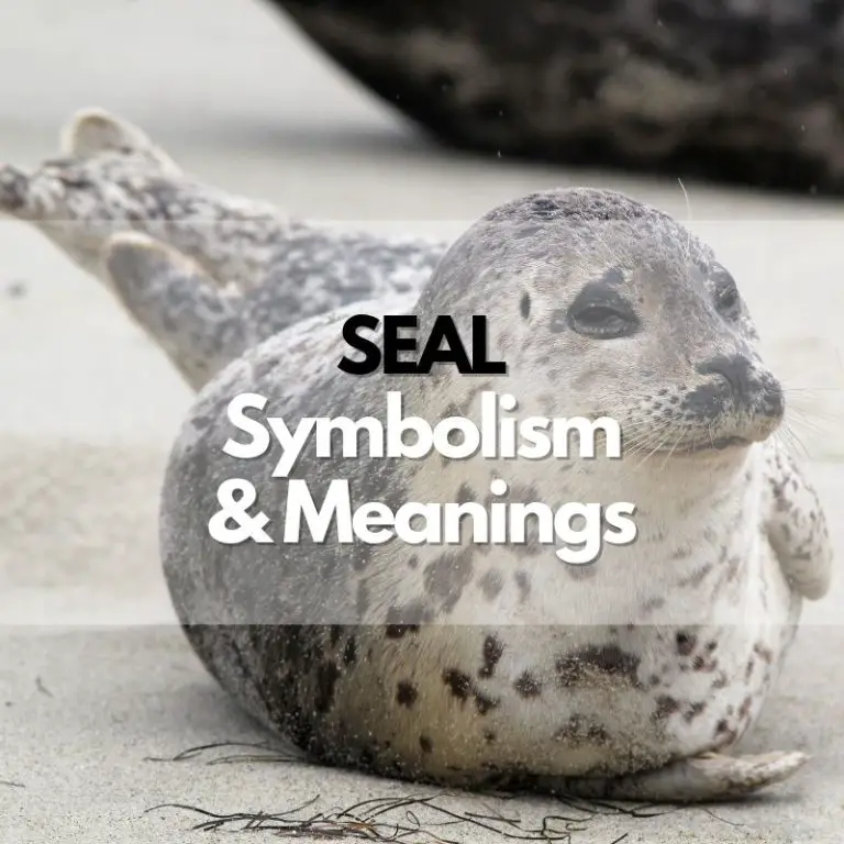 Seal: Symbolism, Meanings, and History