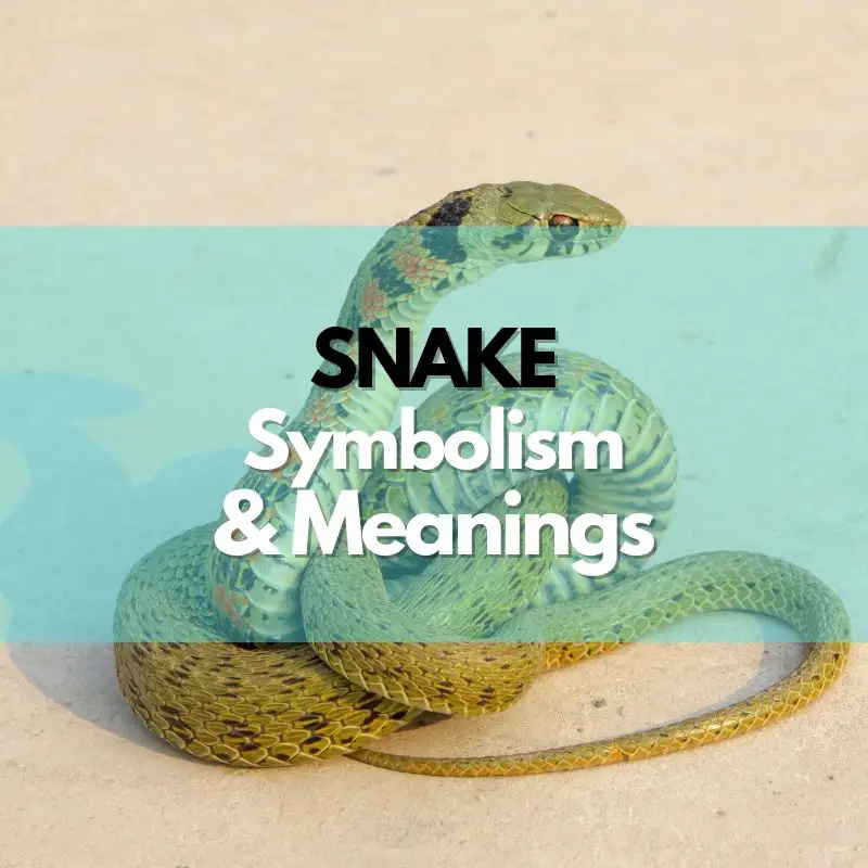 snake symbolism meaning and history