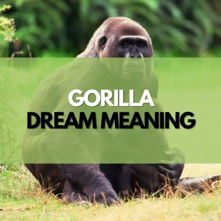 10 Gorilla Dream Meanings & Interpretations Symbol Genie