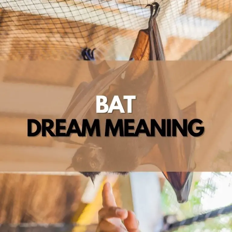 10 Fascinating Bat Dream MeaningS & Interpretations Symbol Genie