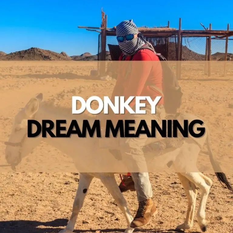 Donkey Dream Meanings (With Interpretations) Symbol Genie