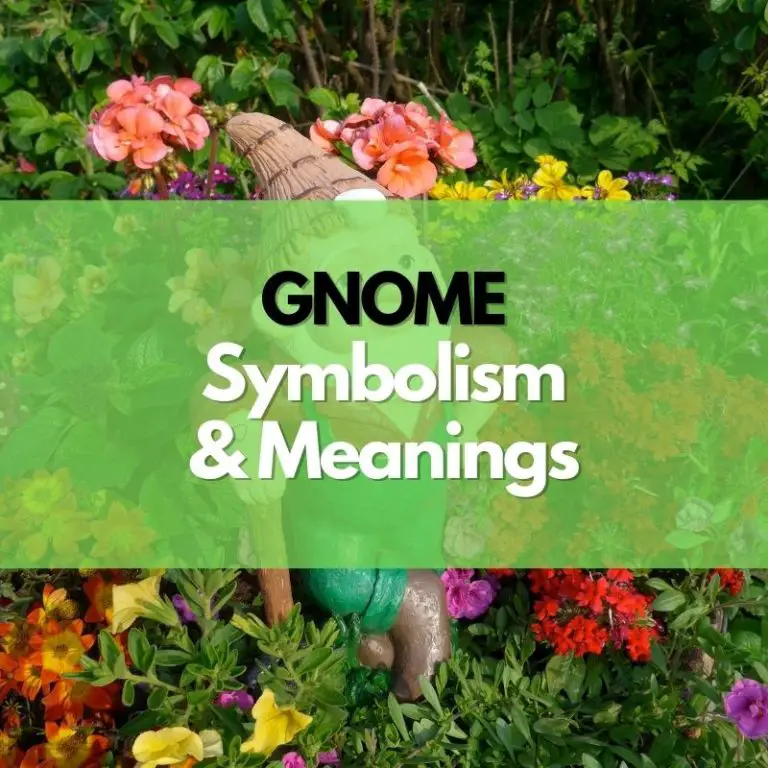 What Does a Gnome Symbolize? Symbol Genie