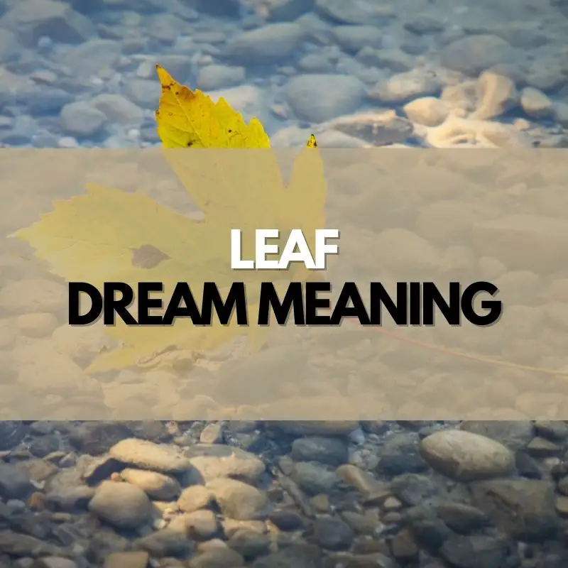 leaf dream meaning