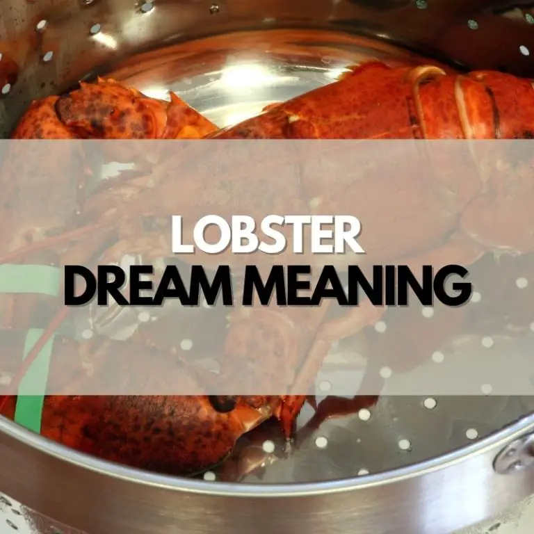 Lobster Dream Meaning & Interpretations Symbol Genie