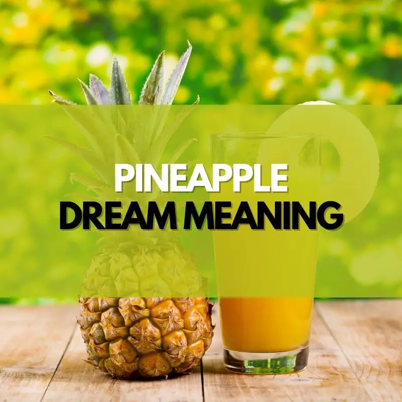 pineapple dream meaning