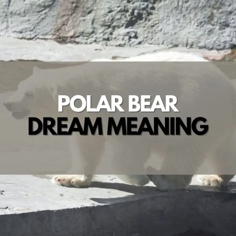 Polar Bear Dream Meaning - Symbol Genie