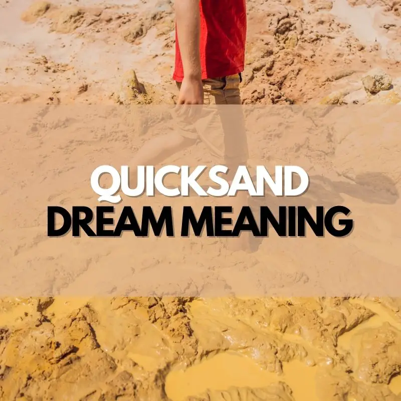 quicksand dream meaning