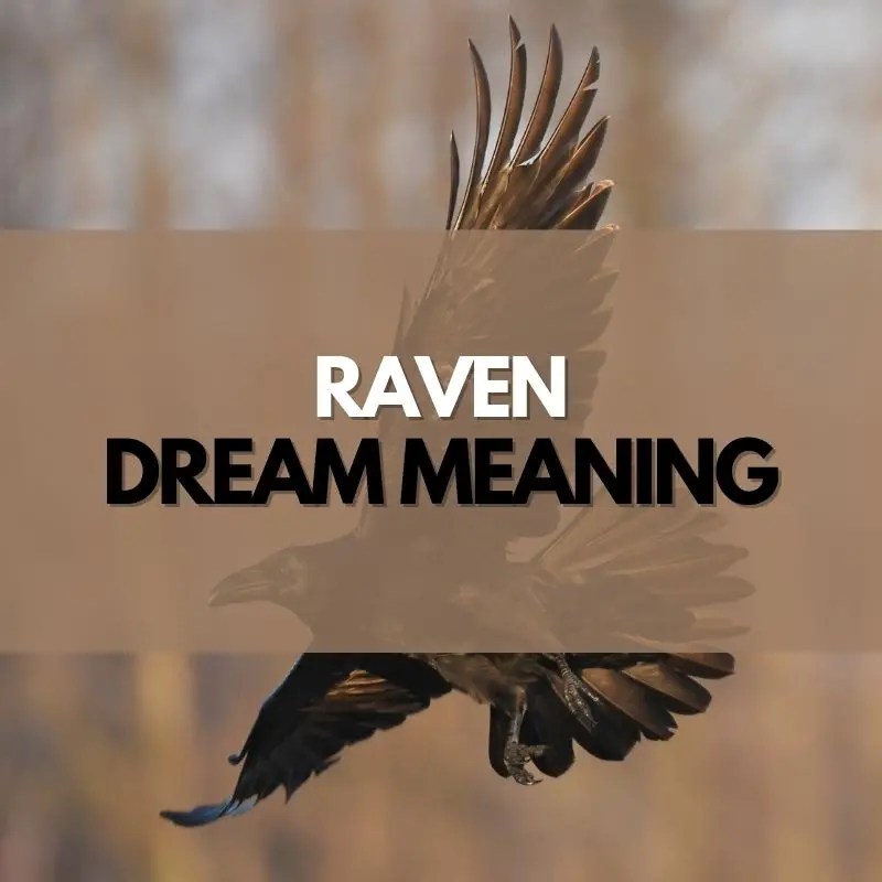 raven dream meaning