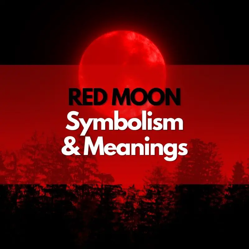 What Does Red Moon Mean In Japanese