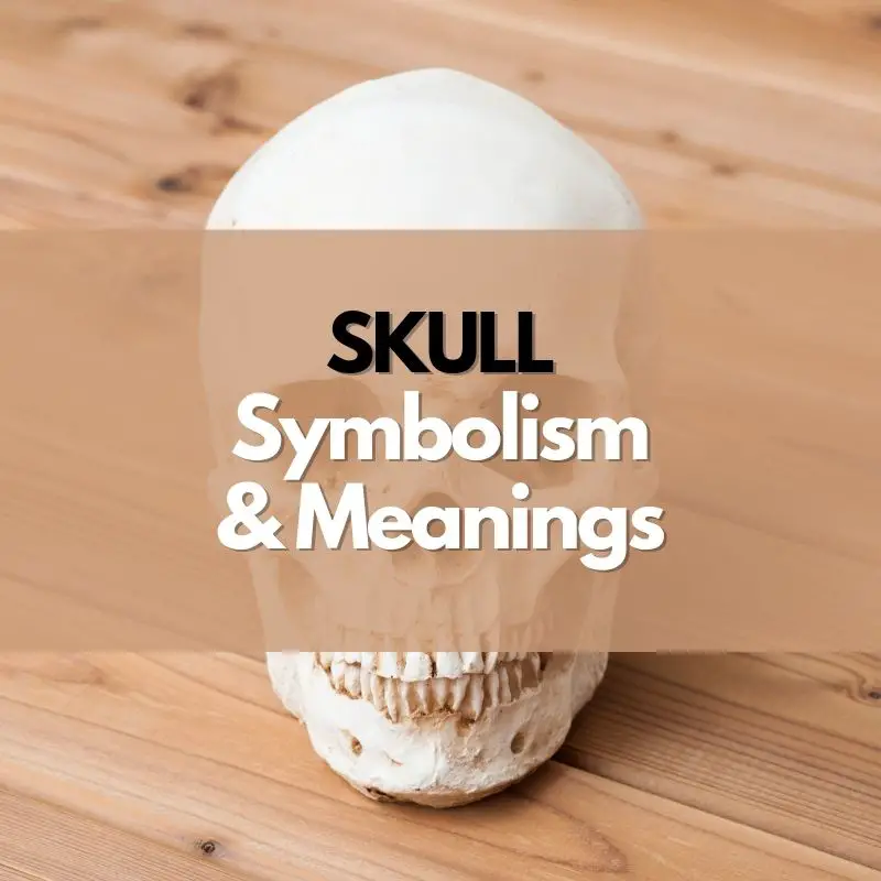 skull symbolism and meaning