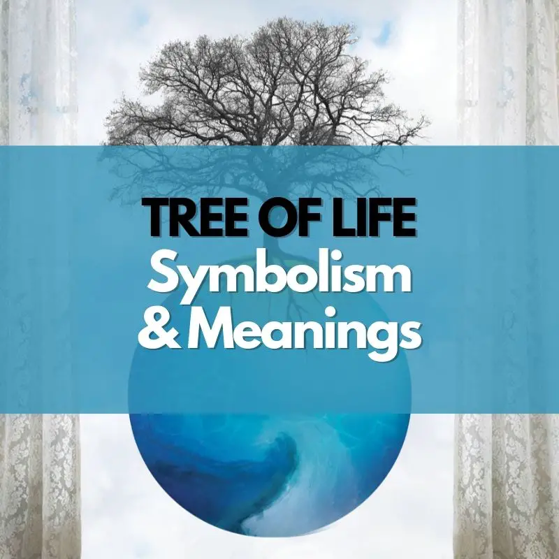 tree of life symbolism and meaning