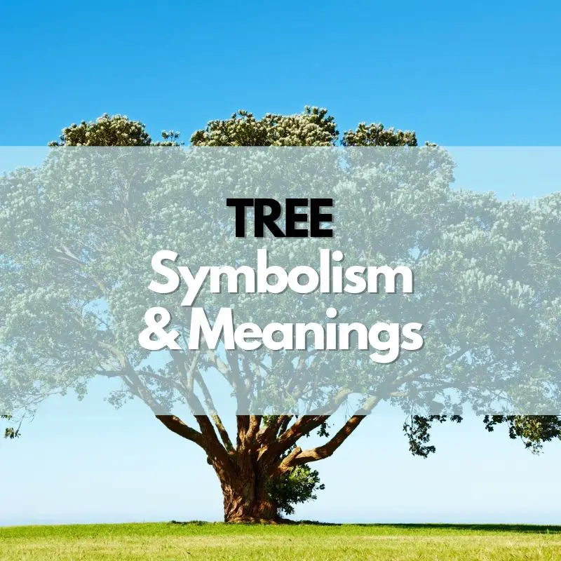 tree symbolism and meaning