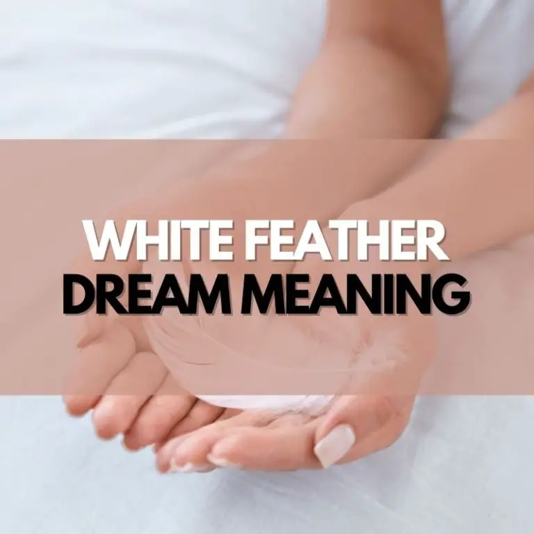 White Feather Dream Meanings & Interpretations Symbol Genie