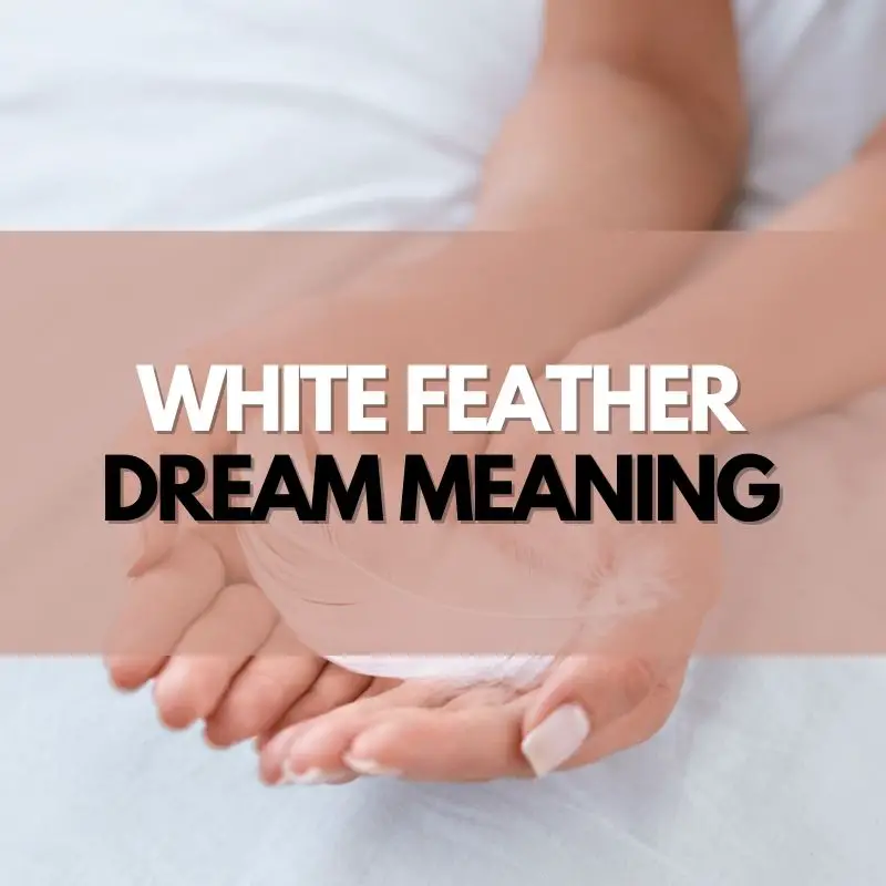white feather dream meaning