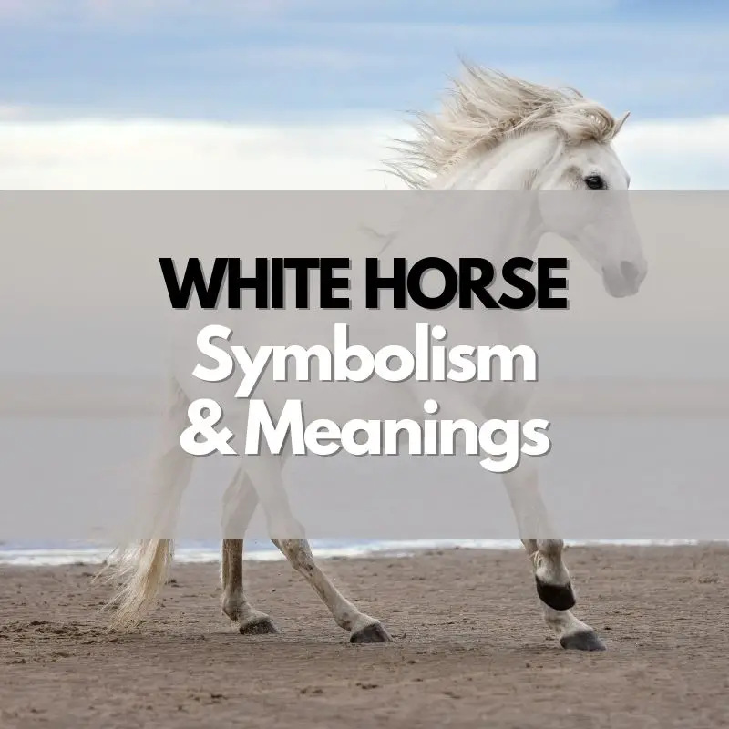 white horse symbolism and meaning