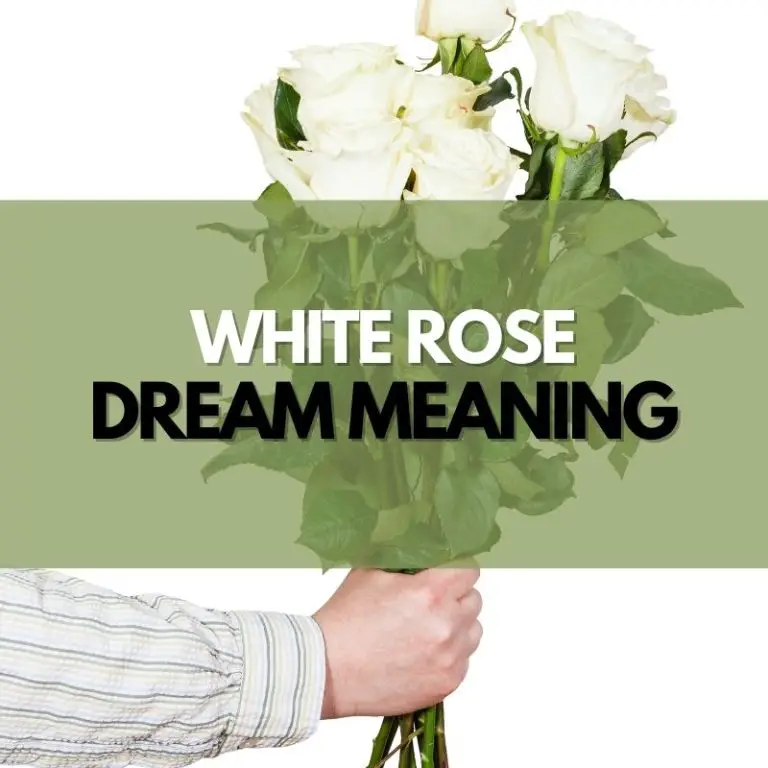 White Rose Dream Meaning