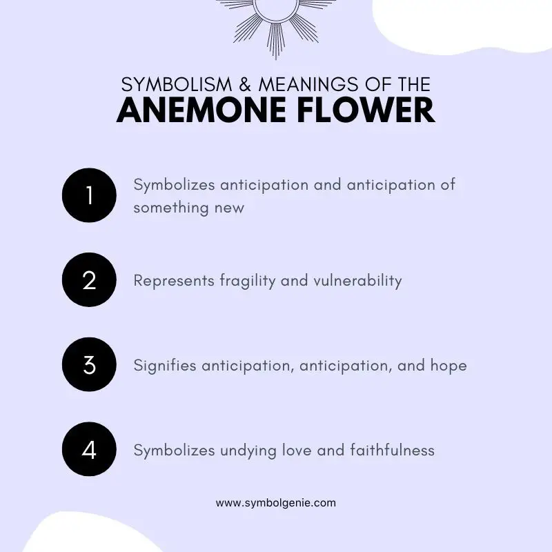 anemone flower symbolism