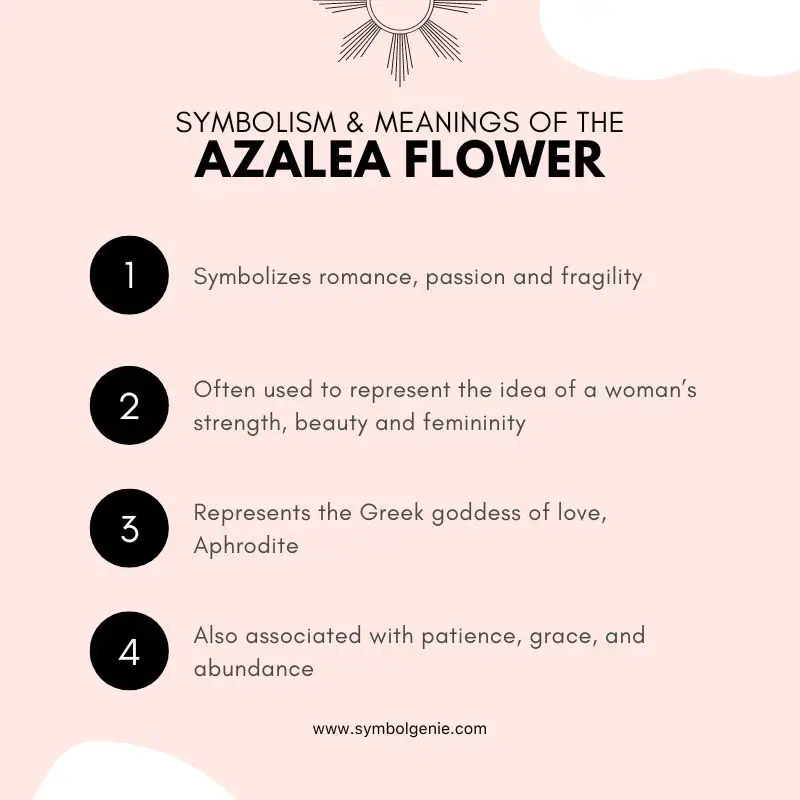 azalea flower meanings