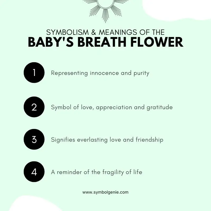 babys breath symbolism