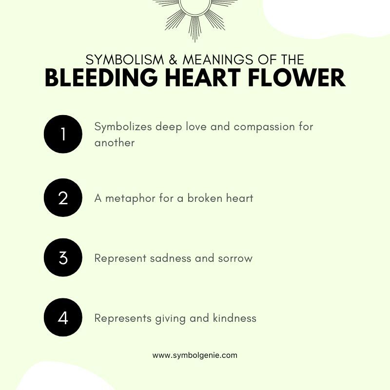bleeding heart flower symbolism