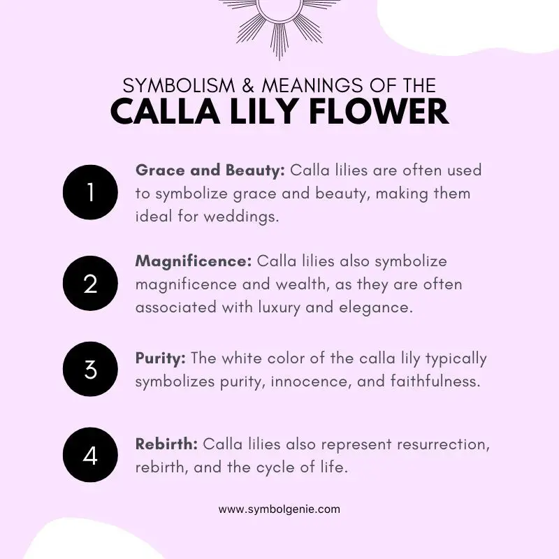 calla lily symbolism