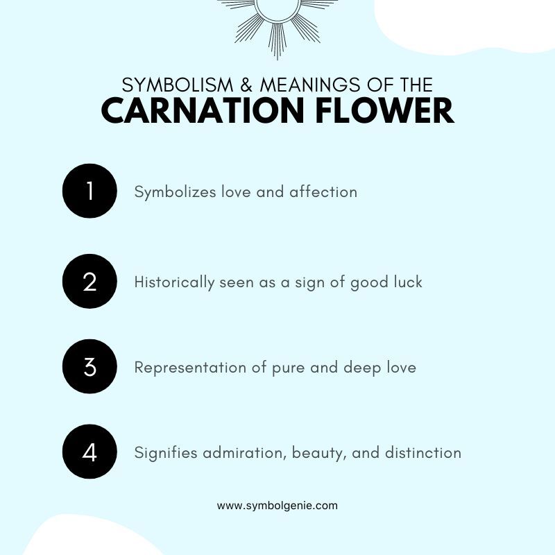 carnation flower symbolism