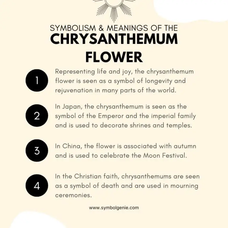 Chrysanthemum Flower Symbolism, Meanings, and History Symbol Genie