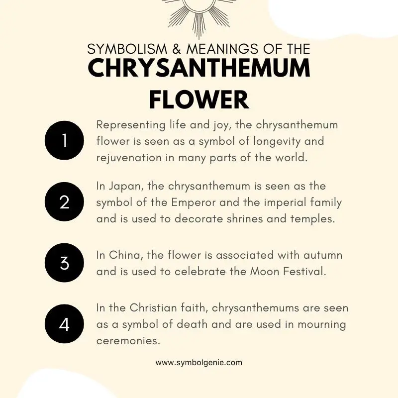 chrysanthemum flower symbolism