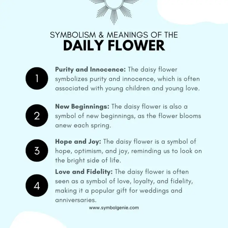 Daisy Flower Symbolism, Meanings, and History Symbol Genie