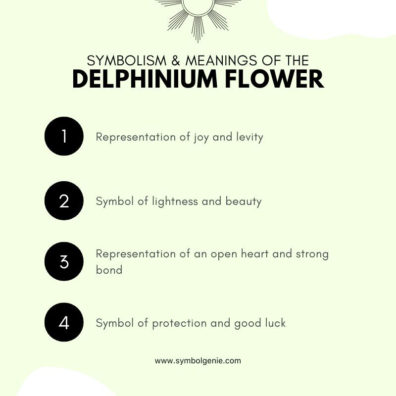 delphinium flower symbolism