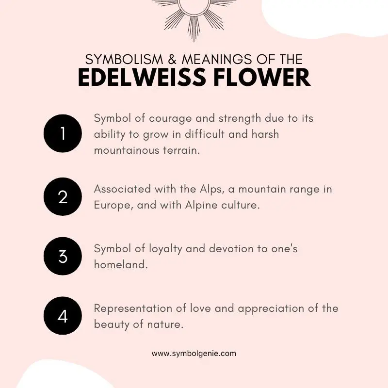edelweiss flower symbolism