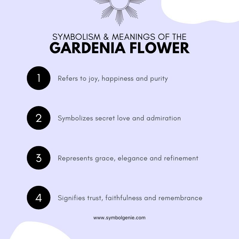 gardenia flower symbolism