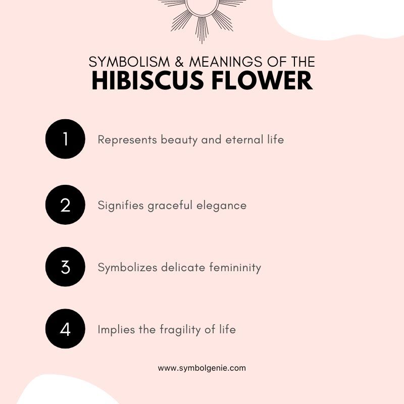 hibiscus flower symbolism