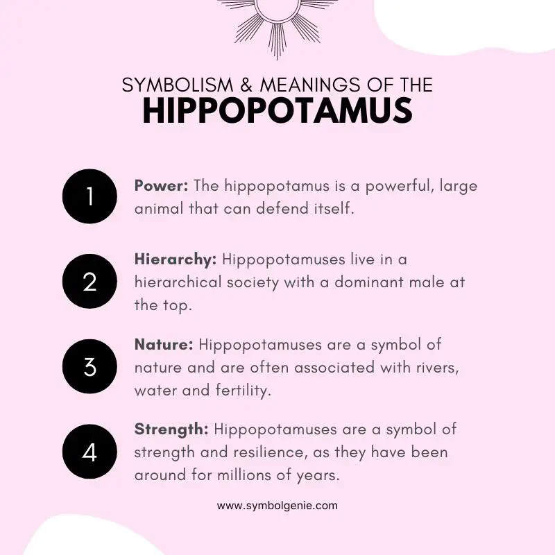 Hippopotamus Symbolism and Meaning