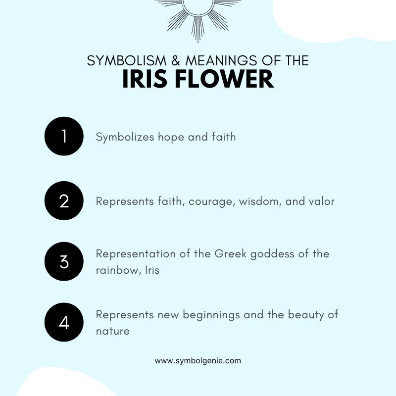 iris flower symbolism