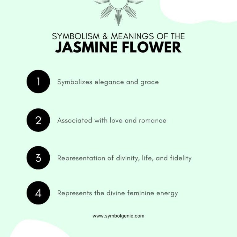 Jasmine Flower Symbolism, Meanings, and History Symbol Genie