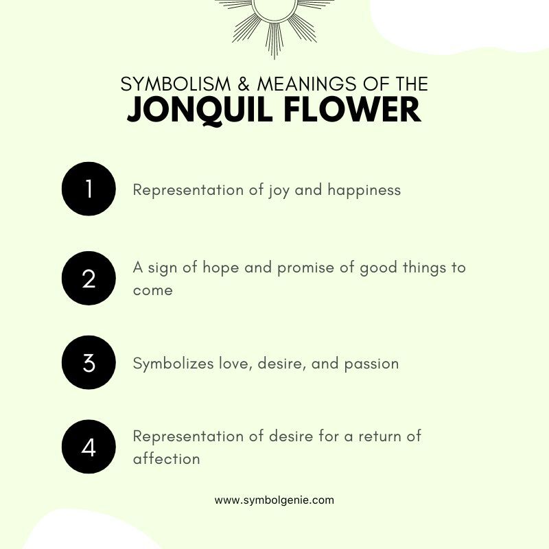 jonquil flower symbolism
